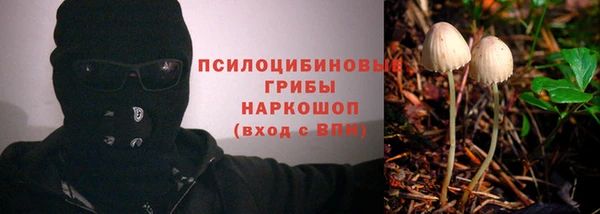 гашик Дмитриев