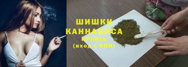 спайс Гусь-Хрустальный