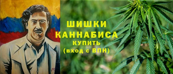спайс Гусь-Хрустальный