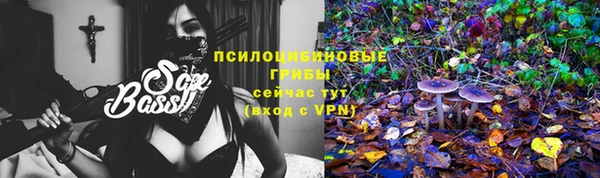 бутират Гусев